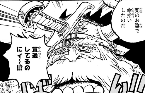 【ONE PIECE】第1135話の海外の反応