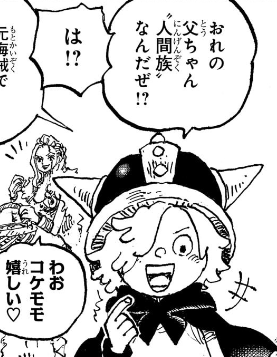 今週の「ONE PIECE」第1135話の感想