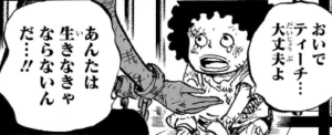 海外の反応【ONE PIECE】第1159話の黒ひげティーチ