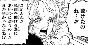 「ONE PIECE」最新第1164話の海外の反応