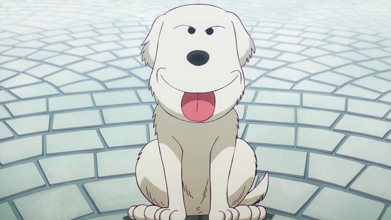 アニメ【ONE PIECE】最新第1164話のシュシュ