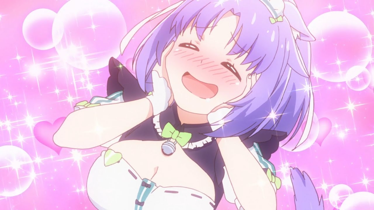 「ネコぱら」のシナモン