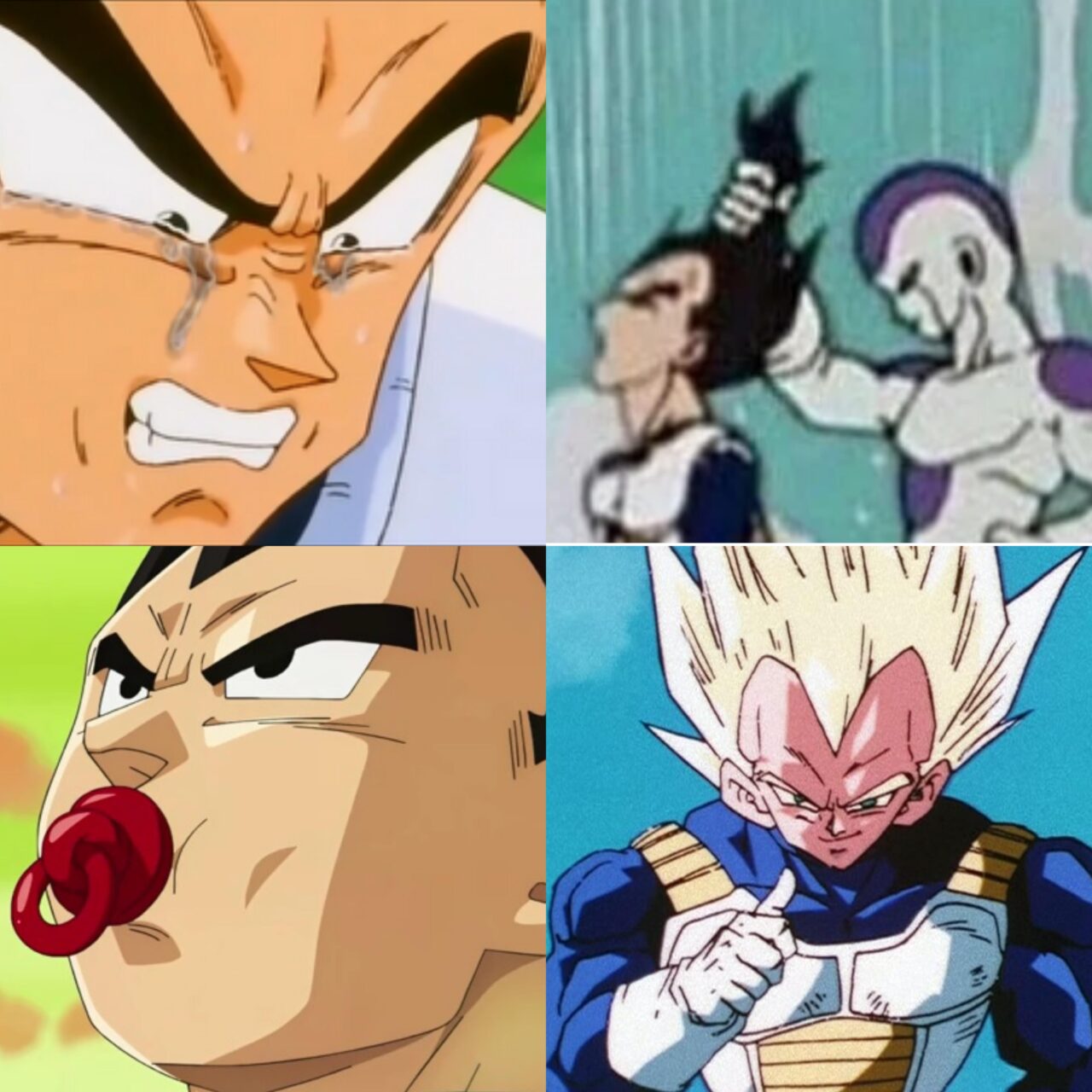 ベジータミーム