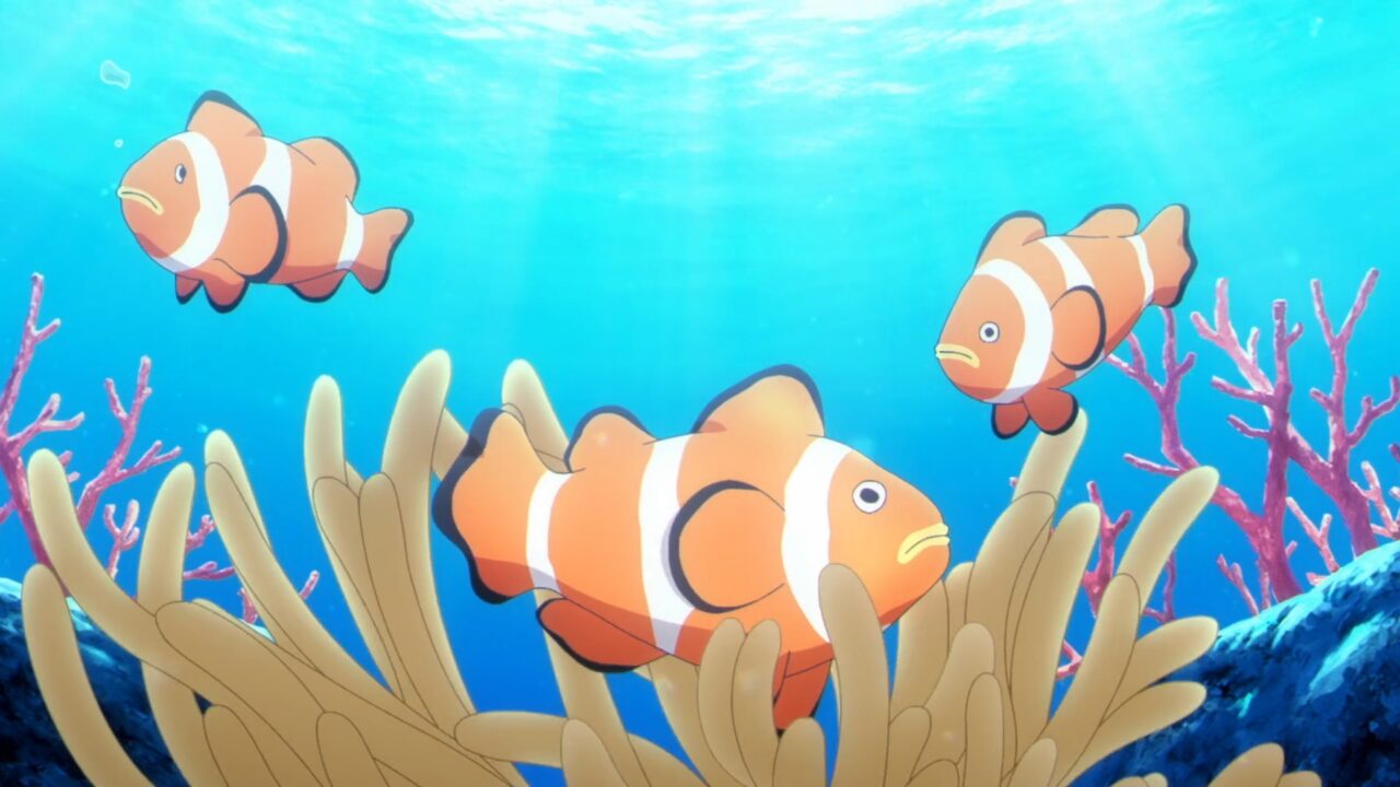 カクレクマノミはみんなオス