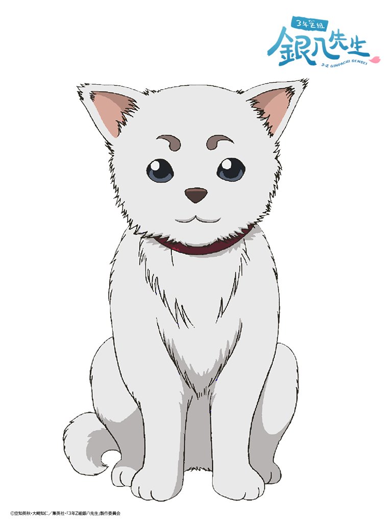 銀魂のサダハル